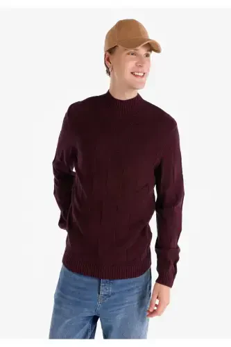 Regular Fit Balıkçı Yaka Mor Erkek Kazak - 1