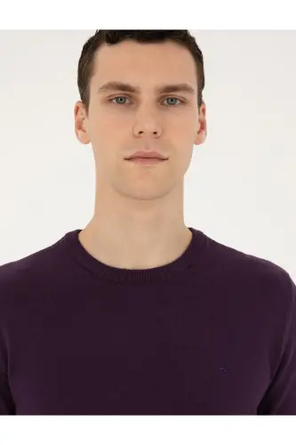 Mor Slim Fit Bisiklet Yaka Basic Triko Kazak 50296575-VR038-Mor - PIERRE CARDIN (1)