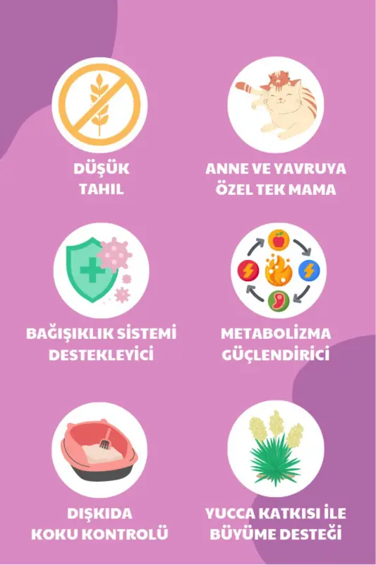 Anne Ve Yavruya Özel Besleyici Tavuklu Kedi Maması 1,5kg - Family - 5
