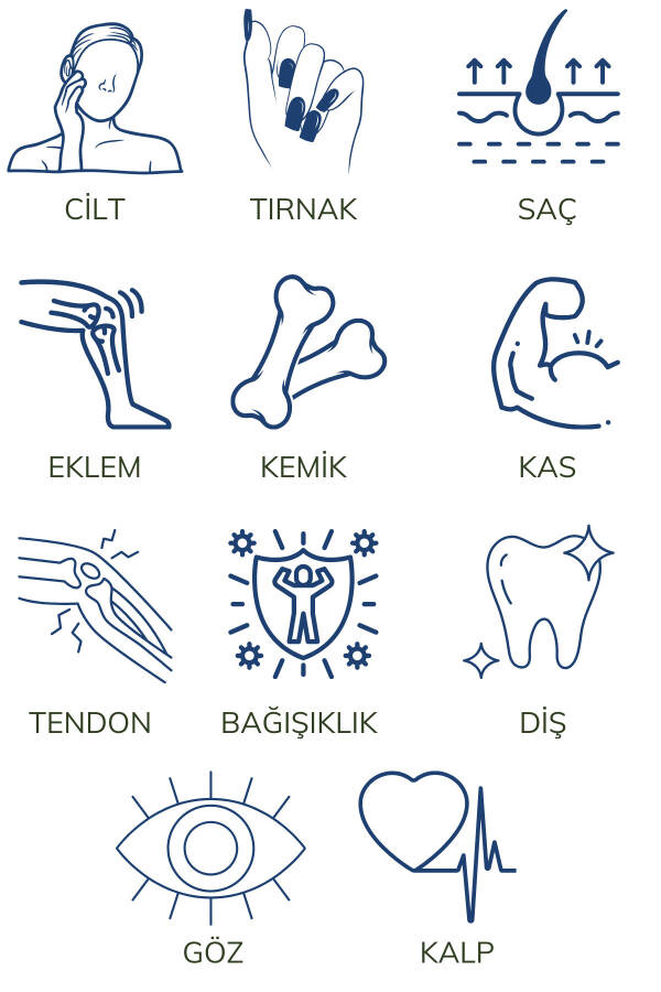 Multi Kolajen 90 Tablet - Tip 1-2-3-5-10 Kolajen MSM Magnezyum C Vitamini Yumurta Kabuğu Zarı Çinko - 11