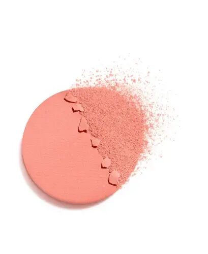 Multi-Use Longwearing Eyeshadow-228 ROSE CHARNEL - 6