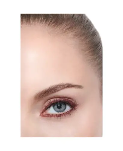 Multi-Use Longwearing Eyeshadow-240 BRUN FAUVE - 3