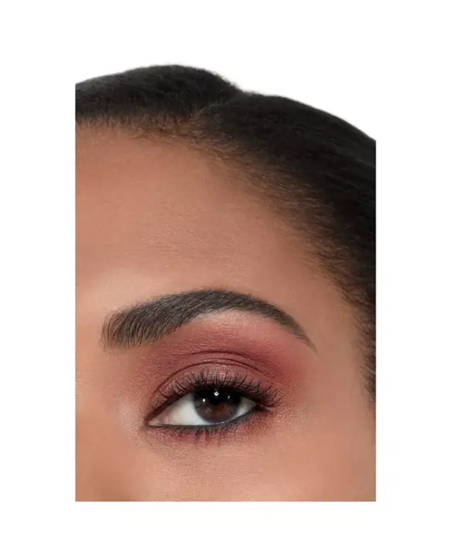 Multi-Use Longwearing Eyeshadow-240 BRUN FAUVE - 4