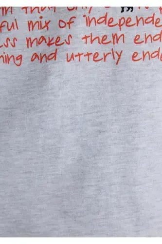 Mushuk bosilgan kulrang futbolka Loose Fit / Keng kesim - 7