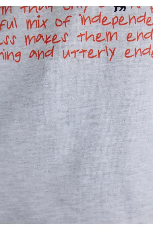 Mushuk bosilgan kulrang futbolka Loose Fit / Keng kesim - 7