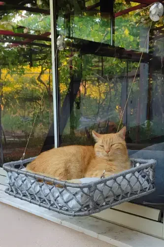 Mushuk It Shisha Yotog'i Ventuzli Qo'l Mehnati-Kulrang - 4