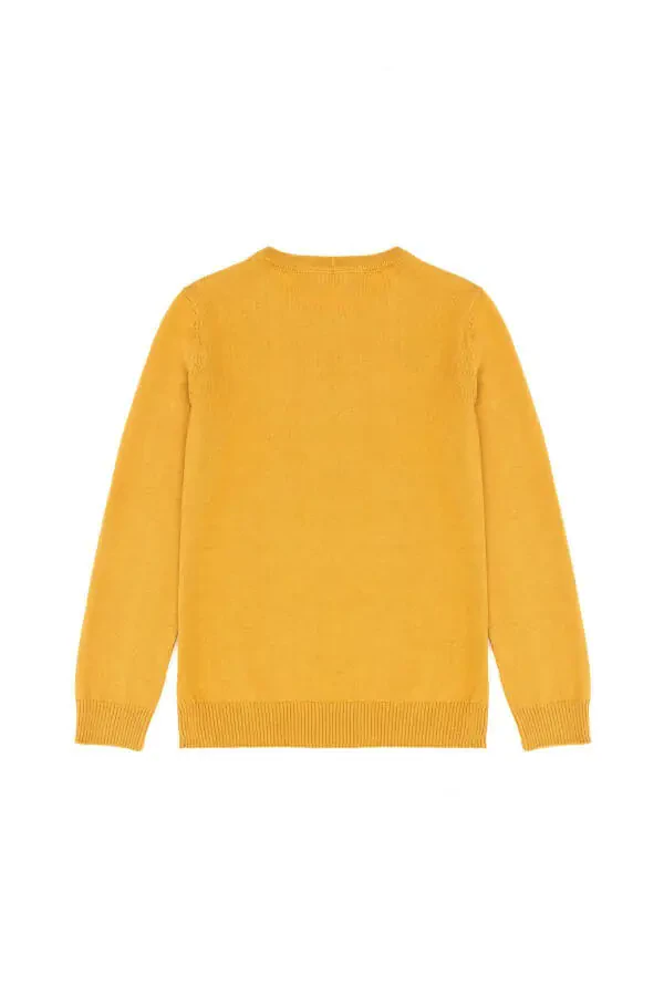 Mustard Basic Sweater for Boys 50269409-VR072 - 8
