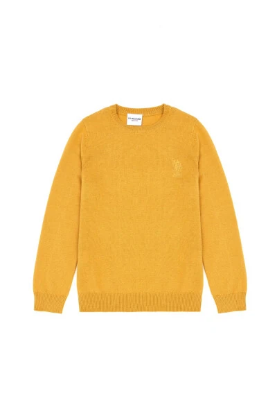 Mustard Basic Sweater for Boys 50269409-VR072 - U.S. POLO ASSN.