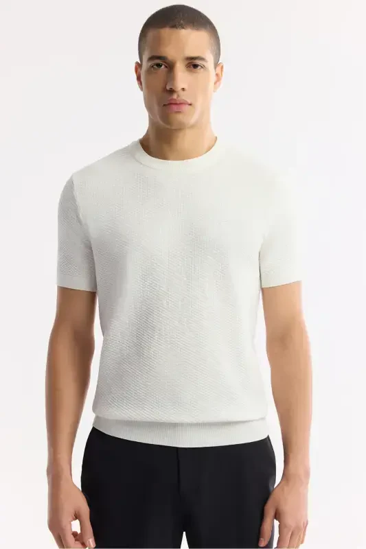 Мужская экрю футболка из текстурного трикотажа с круглым вырезом стандартного кроя B005119-Экрю - 5
