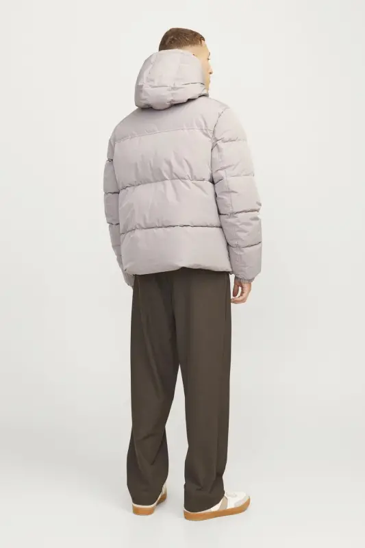 Мужская куртка бежевого цвета 12256974_JJEBRADLEY PUFFER HOOD SN - 3