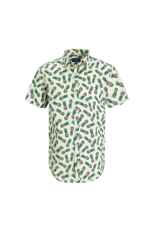 Мужская рубашка Jack&Jones James Palma Conv с зеленым рисунком - 1
