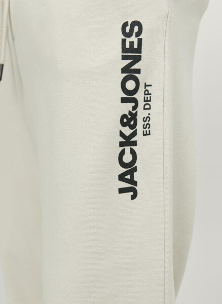 Мужские спортивные штаны Jack & Jones Regular Fit кремового цвета JPSTGORDON JJGALE SWEAT PANTS NAF - 2