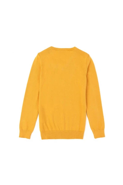 Мужской детский свитер горчичного цвета Basic 50269415-vr072 - U.S. POLO ASSN. (1)