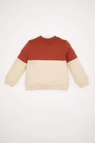 Мужской детский свитшот с цветными блоками, мягкий флис, воротник-стойка D6230a5ns - 5