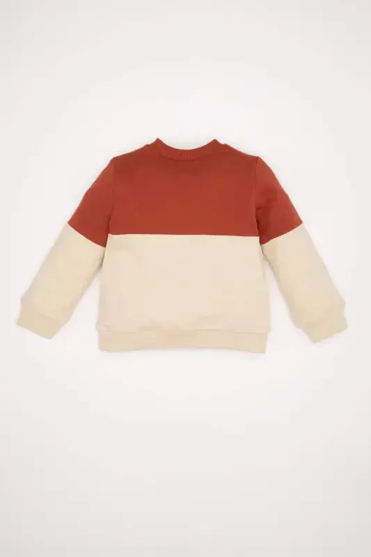 Мужской детский свитшот с цветными блоками, мягкий флис, воротник-стойка D6230a5ns - 5