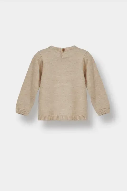 Мужской свитер для малыша с круглым вырезом A5036a523au-Бежевый - 3