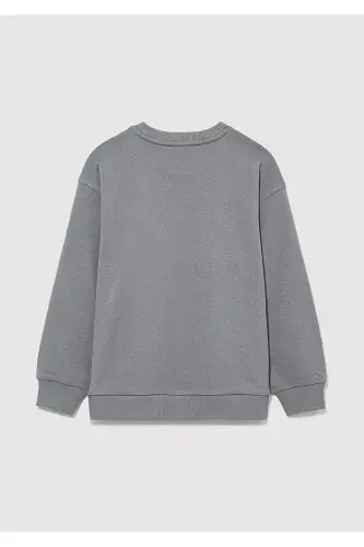 Mv Logosi Bosilgan Kulrang Sviter 6s10054-70098 - 3