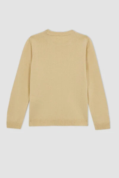 N8505a623au girls' school sweater with a polo collar - 8