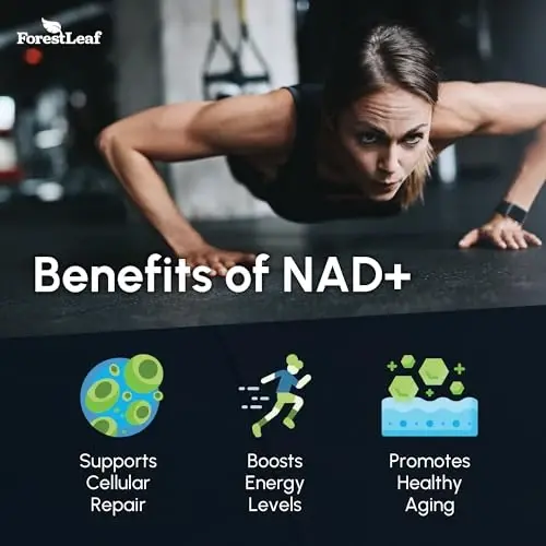 NAD+ qoʻshimchasi - Energiya, diqqat, teri va qarishga qarshi yordam uchun 500 mg toza NAD Plus - Gluten Free Non-GMO NAD Ayollar va erkaklar uchun qo'shimchalar (60 dona (1 paket)) - FORESTLEAF (1)