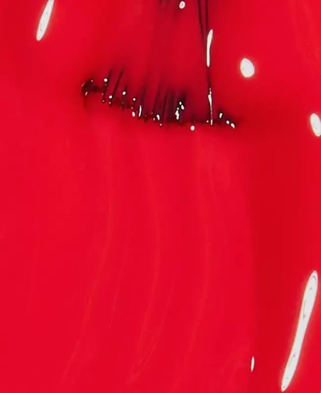 Nail Lacquer - 2