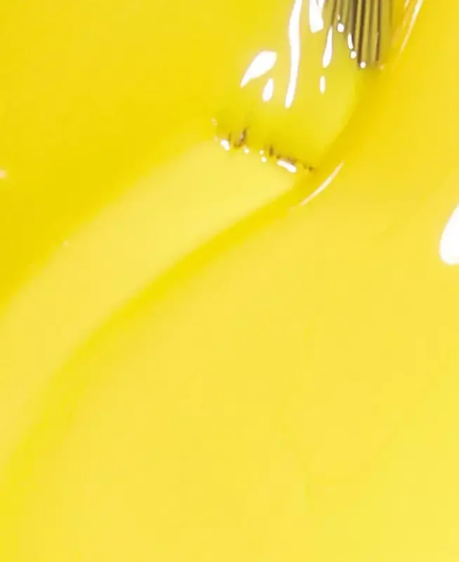 Nail Lacquer-Exotic Birds Do Not Tweet - 2