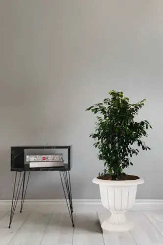 Нарцисс Декоративный Сломанный Белый Горшок на Ножках - Пластиковый Цветочный Горшок 6 Литров Объема - Сломанный Белый - 4