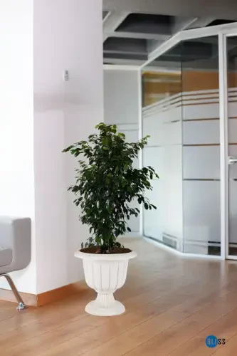 Нарцисс Декоративный Сломанный Белый Горшок на Ножках - Пластиковый Цветочный Горшок 6 Литров Объема - Сломанный Белый - 5