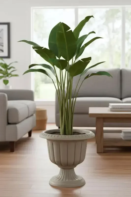 Narcissus Decorative Footed Pot - Plastic Flower Garden And Home Pot - Milky Coffee - 1