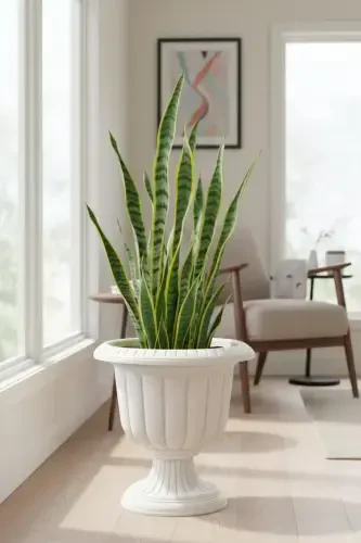 Narcissus Decorative Off White Footed Pot - Plastic Flower Garden and Living Room Pot - Off White - 1