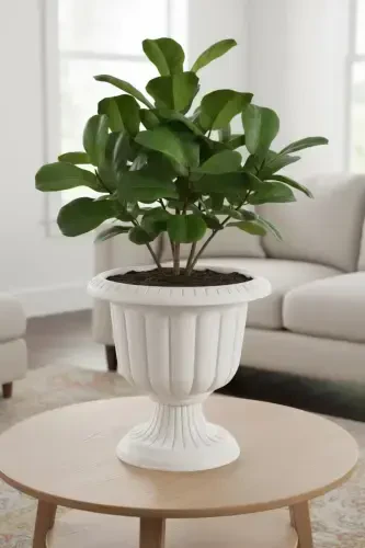 Narcissus Decorative Off White Footed Pot - Plastic Flower Garden and Living Room Pot - Off White - 4