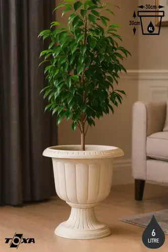 Narcissus Leg Pot Broken White Plastic Flower Pot - 8