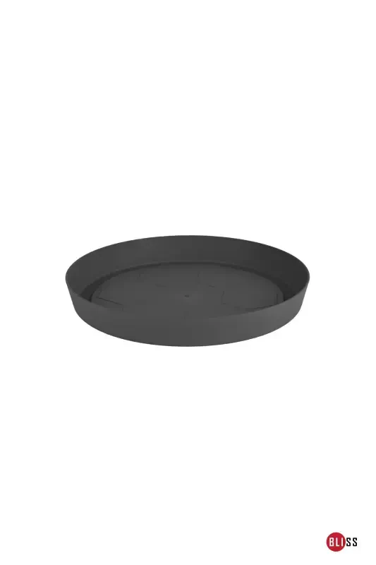 Narcissus Model Pot No: 1 Saucer-Anthracite - BLISS