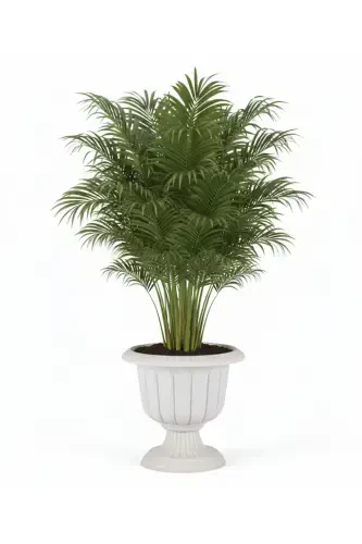 Narcissus Pot No.2 25.3 Liter White - 1