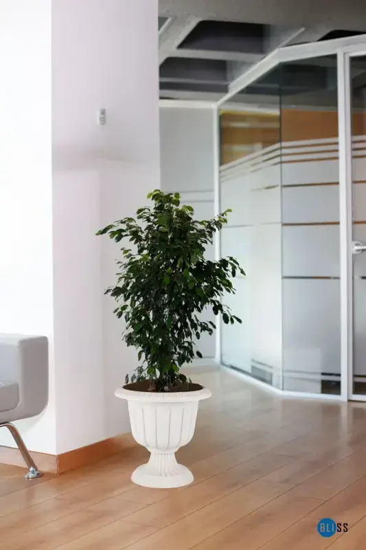 Nargis dekorativ oq oyoqli tuvak - Plastik gul tuvagi 6 litr hajm-Oq - 5