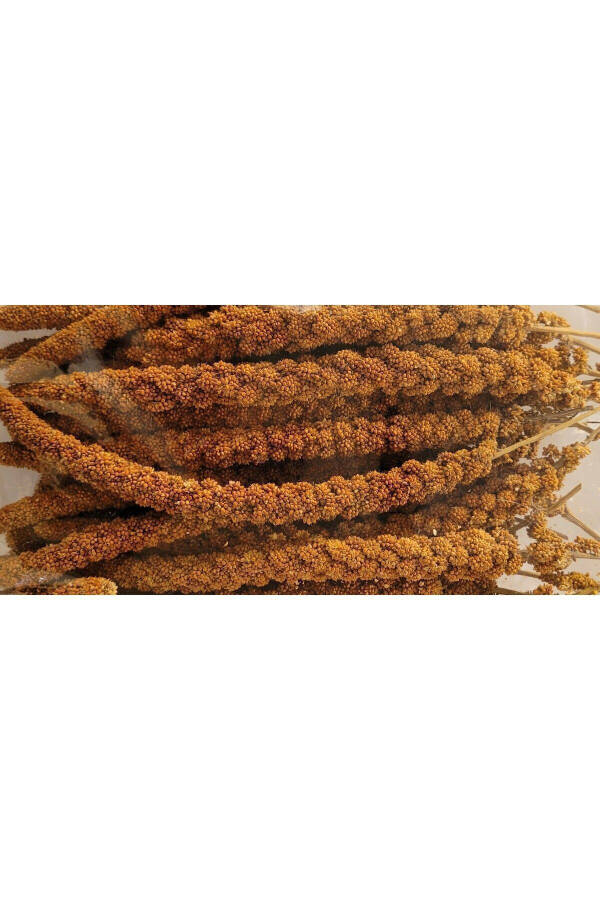 Natural Production Red Seaweed (500 GR.) - 20