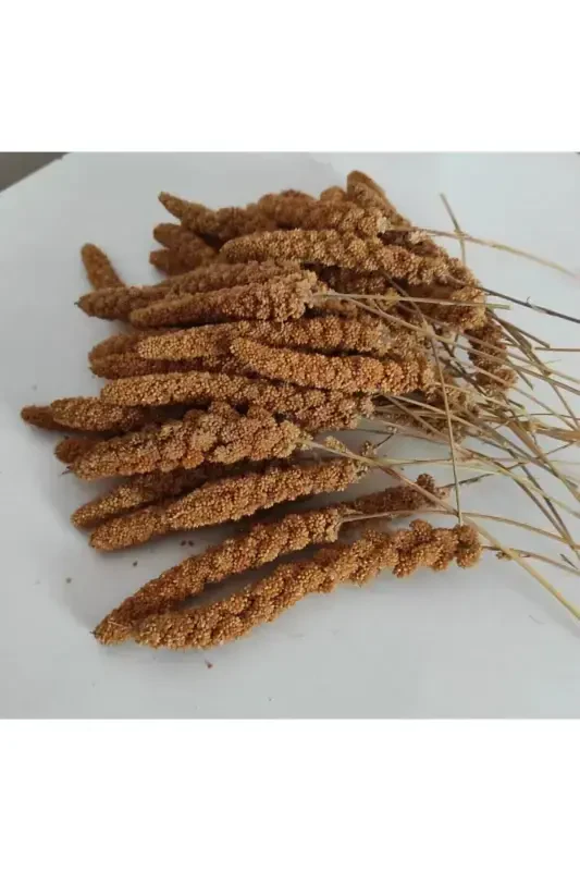 Натуральная продукция Красный морской салат (500 гр.) - KAFES KUŞ