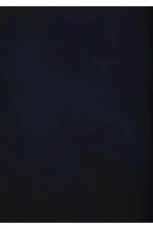 Navy Blue Shirt Regular Fit 0211246 - 2