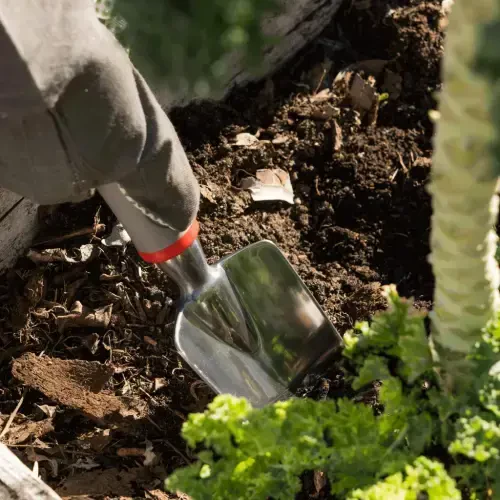 NEIKO 61090A 8 Pc Garden Tool Set, Heavy Duty Gardening Tool Set for Home Garden Planting, Includes Gardening Tool Set Bag for Gardening, Hand Gardening Tools for Women and Men, Gardening Tool Kit - 5