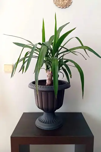 Nergiz 30cm Ayaklı Deliksiz Saksı Gri Plastik Çiçek Saksısı - Antrasit - 5