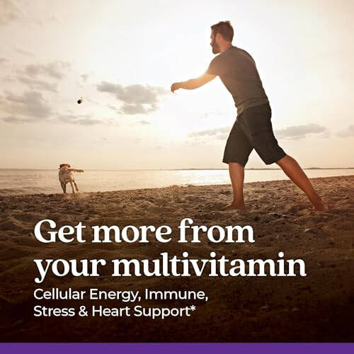 New Chapter Men's Multivitamin for Immune, Stress, Heart + Energy Support with Fermented Nutrients - Every Man's One Daily, Made with Organic Vegetables & Herbs, Non-GMO, Gluten Free - 72 ct - 8