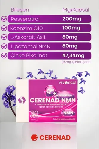 NMN 3-Pack, Liposomal NMN, CoQ10, Resveratrol, Zinc and Vitamin C Dietary Supplement - 3