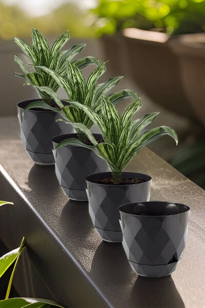 No 3 Large Size 4 Pieces Baklava Patterned Plate Plastic Pot Yakamoz 2.4 Lt - TEMMUZ HOME