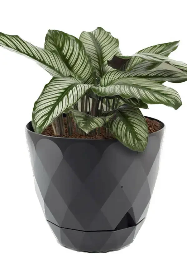 No 3 Large Size 4 Pieces Baklava Patterned Plate Plastic Pot Yakamoz 2.4 Lt - 4