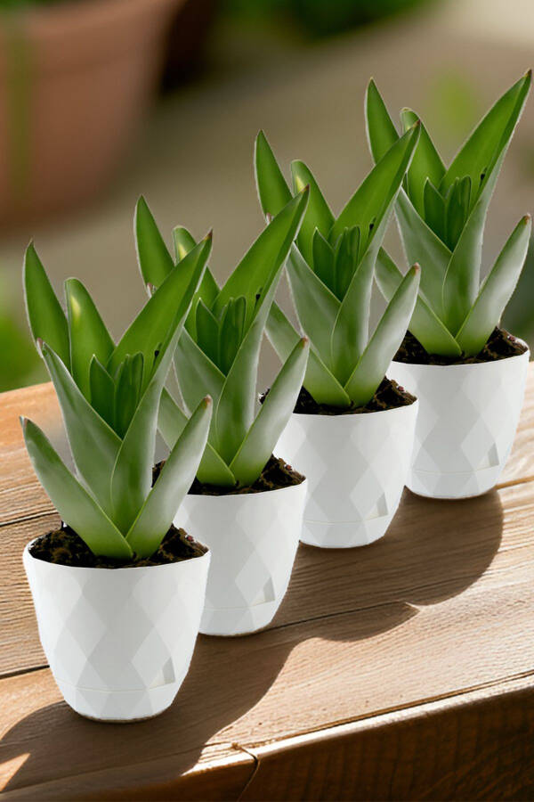 No3 4 dona 2,4 litr oq rangli 17,5 sm paxlava naqshli o'z-o'zidan likopchali plastik gul idishi - 3