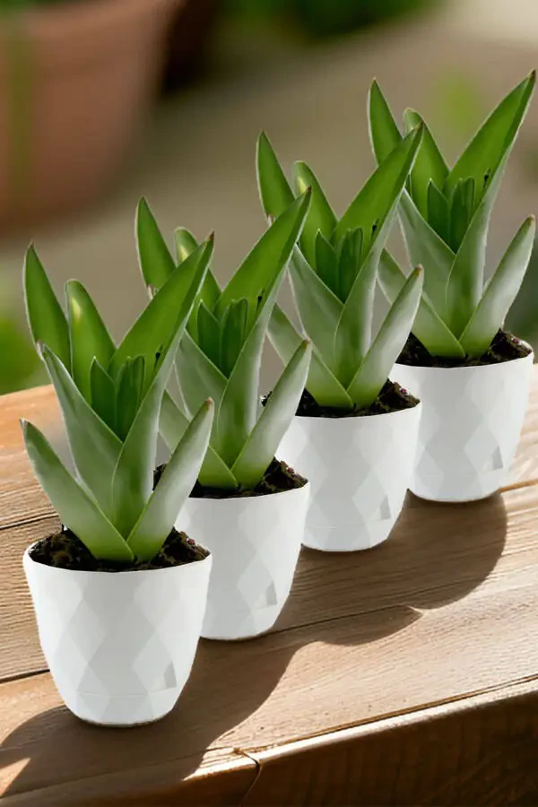 No3 4 штуки 2,4 литра белый 17,5 см цветочный горшок из пластика с рисунком в виде пахлавы с поддоном - 3