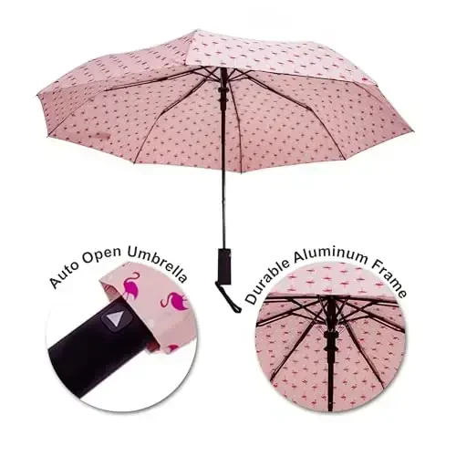 Nollia ветрозащитный автоматический дорожный зонт, компактный портативный с усиленными ребрами для солнца и дождя - NOLLIA (1)