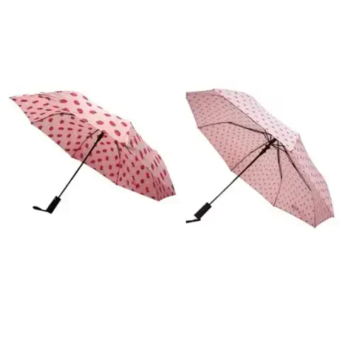 Nollia Windproof Automatic Travel Umbrella, Compact Portable with Reinforced Ribs for Sun & Rain 