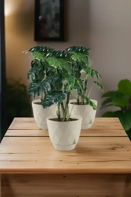 Номер 3 Большой Размер 4 Штуки Пластиковый Горшок с Блюдцем с Рисунком Пахлавы Yakamoz 2,4 Л-Бежевый - 2