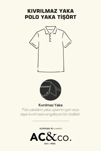 Non-Curl Pique Polo Collar Men's White T-Shirt - white - ALTINYILDIZ CLASSICS (1)