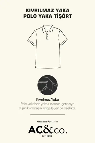 Non-Roll Pique Polo Collar Men's Black T-Shirt - black - ALTINYILDIZ CLASSICS (1)